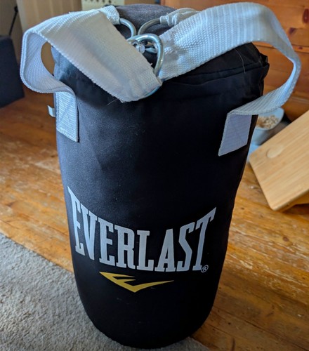 Everlast hanging boxing punch - everlast,