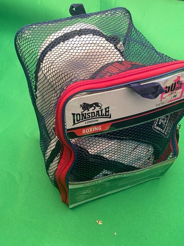 Boxing focus pads - focus, thai