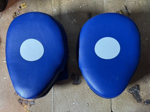 Boxing focus pads pair - focus,