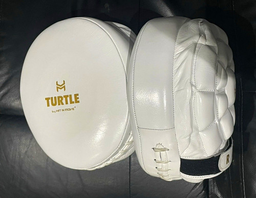 Turtle hit move - turtle,